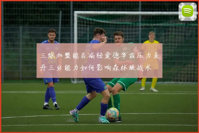 三球加盟能否减轻爱德华兹压力麦丹三分能力如何影响森林狼战术